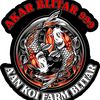 aan_koi.farm.blitar.999