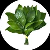 zhaolusi123_