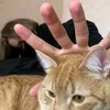 80_danilka_pricolist_08