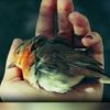 qasem_82