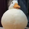 onnixs