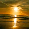 saidaw28