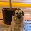 qiqi1111111111