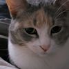 letty_2023