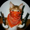 hostte