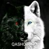 Qashqirr70