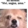 deborahbranca91