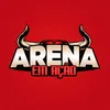 Arena em Ação