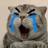 huduthattinhroi