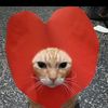 Carla Calderon 😺♥️