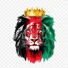 omarafg52