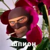 shpion_original