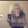 mario_1216