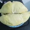 hoangna221296