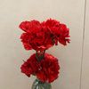 karinrin_12