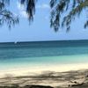 shabnam_00786