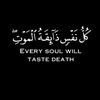 malek_mahmod_