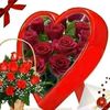 rajasunny143682