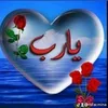 lsfar.mina