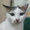 hwhwhwhwui