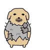 chubbyndat09
