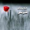 qasymsafi
