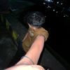 kvnfrns26