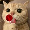 mqrzhqnk