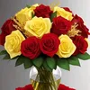 user1i88eeqqzb
