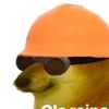 cuentafake21
