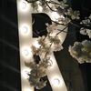 rahaf.alhashemi