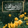 mohammadmohamma1212