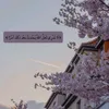 haninhassan267