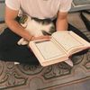 x_salam8_x