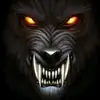 shazu_15