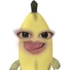 user04211210