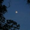 danimo_082209