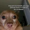 theoleclassic