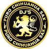 puro_chihuahua_sax