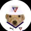 viniciorey