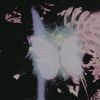 shadowf_