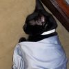zymeower