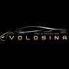 volosina.ppfdetailing