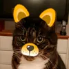 ambroziah