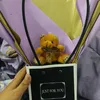 budaksmile9