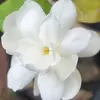 4you_ni3