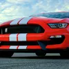 michael_050107
