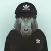 aktivnygomes6