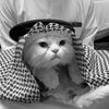 67nasser67