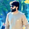 tanijutt4915.l
